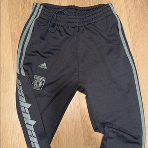 Adidas Black Pants with Gray Accents